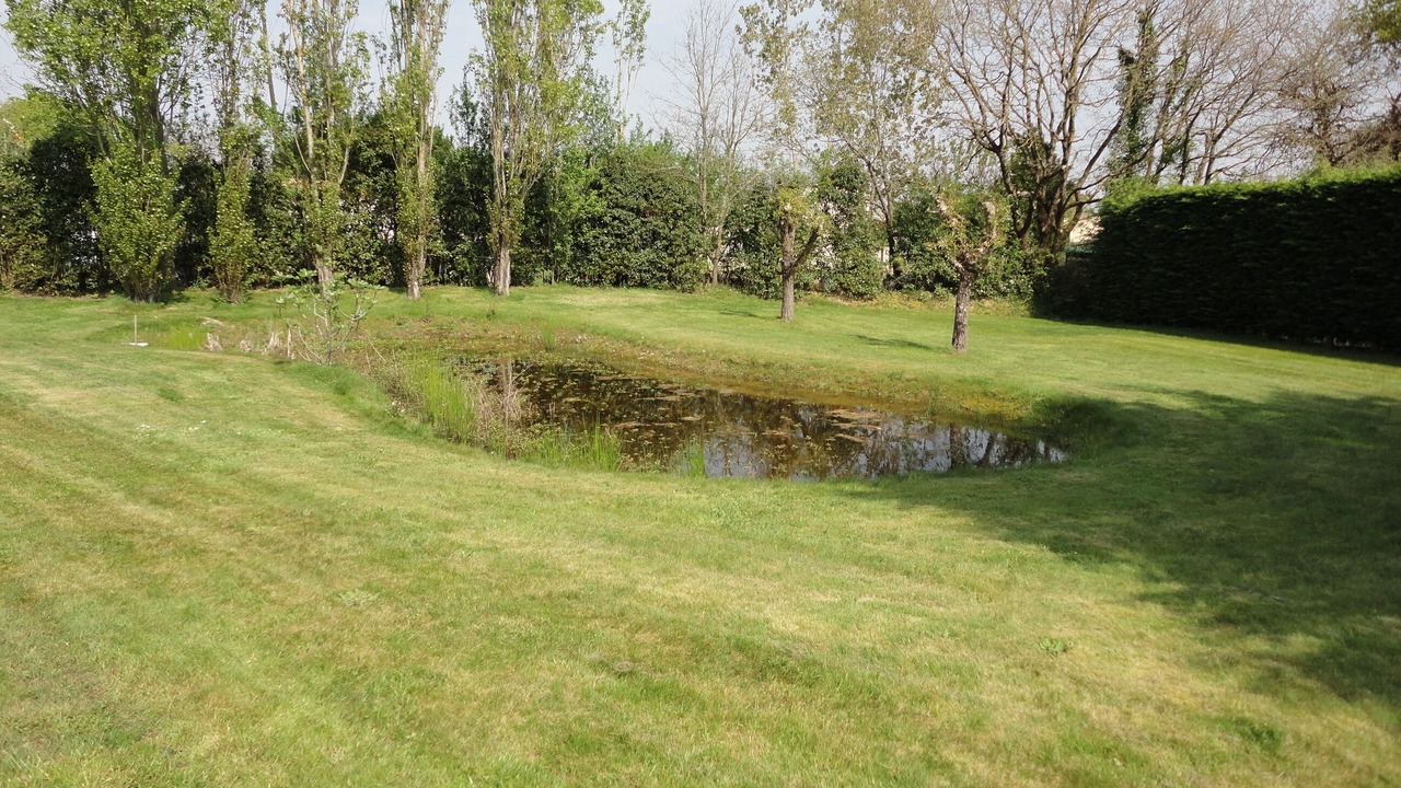 Photo of Others in Talmont-Saint-Hilaire