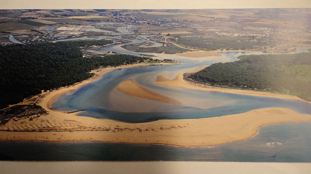 Photo of Others in Talmont-Saint-Hilaire