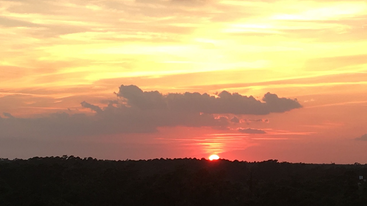 Photo of Others in Myrtle Beach