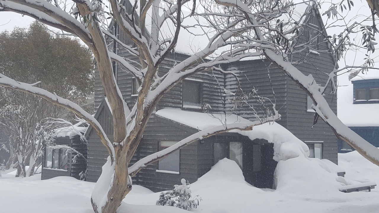 Photo of Outdoor in Dinner Plain