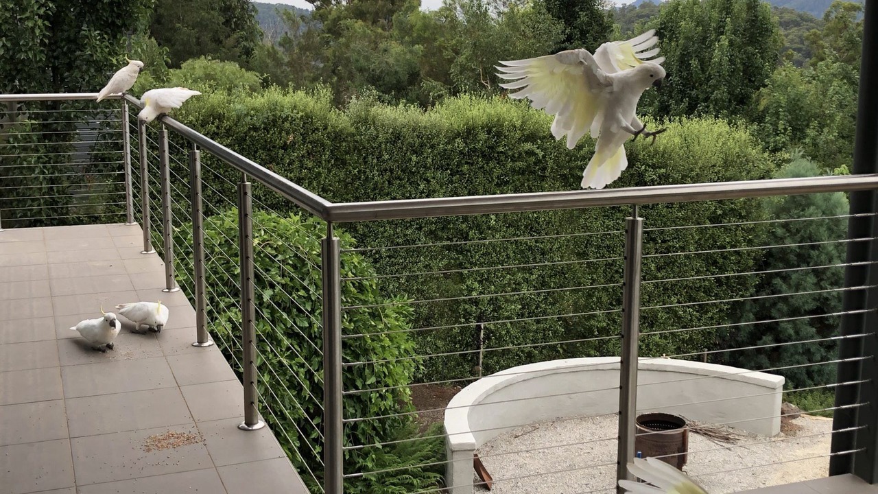 Photo of Outdoor in Marysville