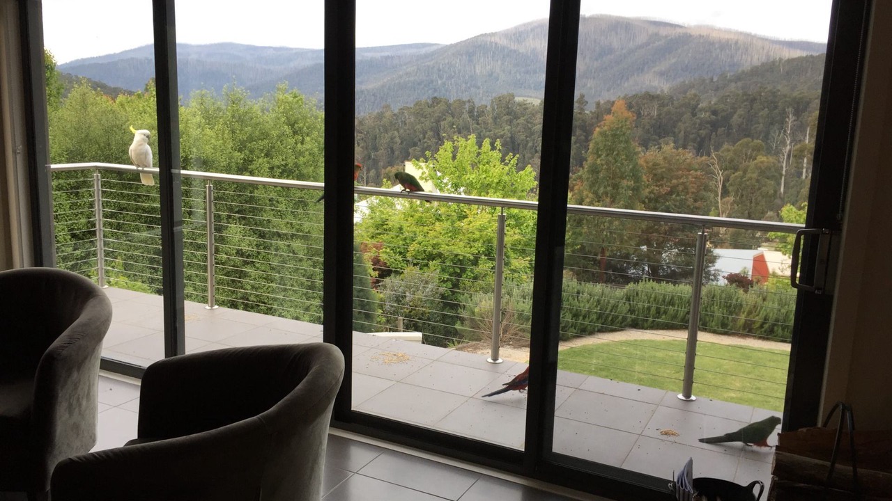 Photo of Others in Marysville