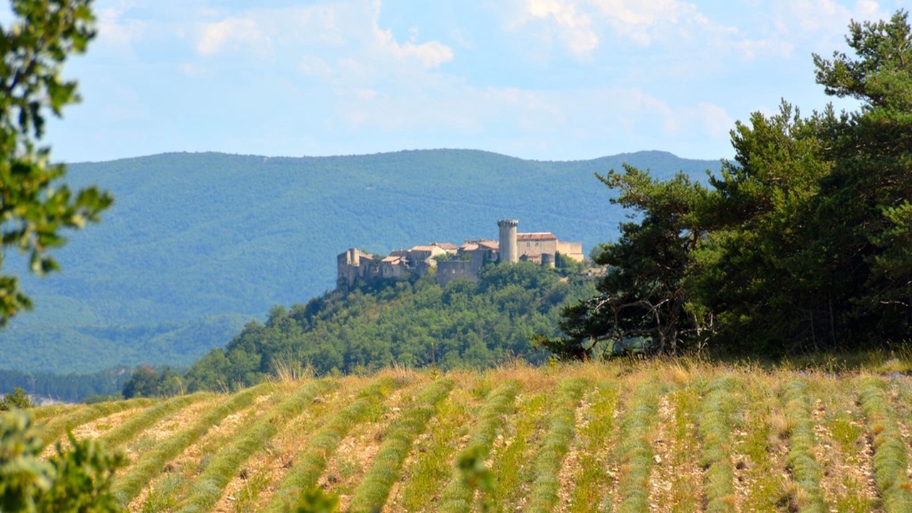 Photo of Others in Viens