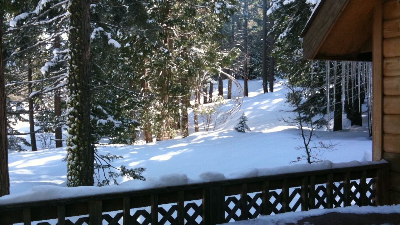 Photo of Outdoor in Yosemite National Park