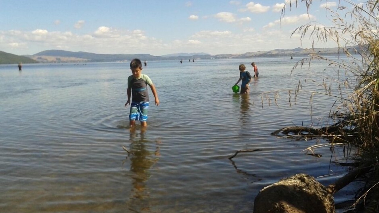 Photo of Others in Hamurana