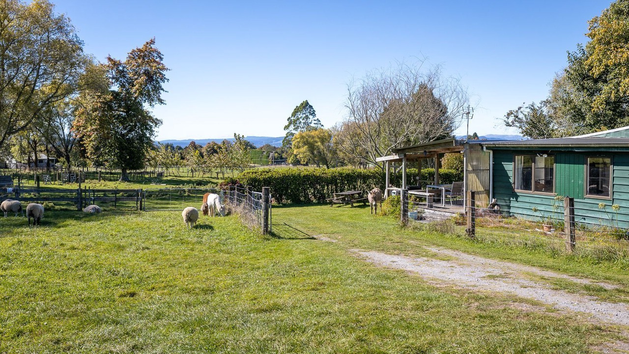 Photo of Outdoor in Hamurana