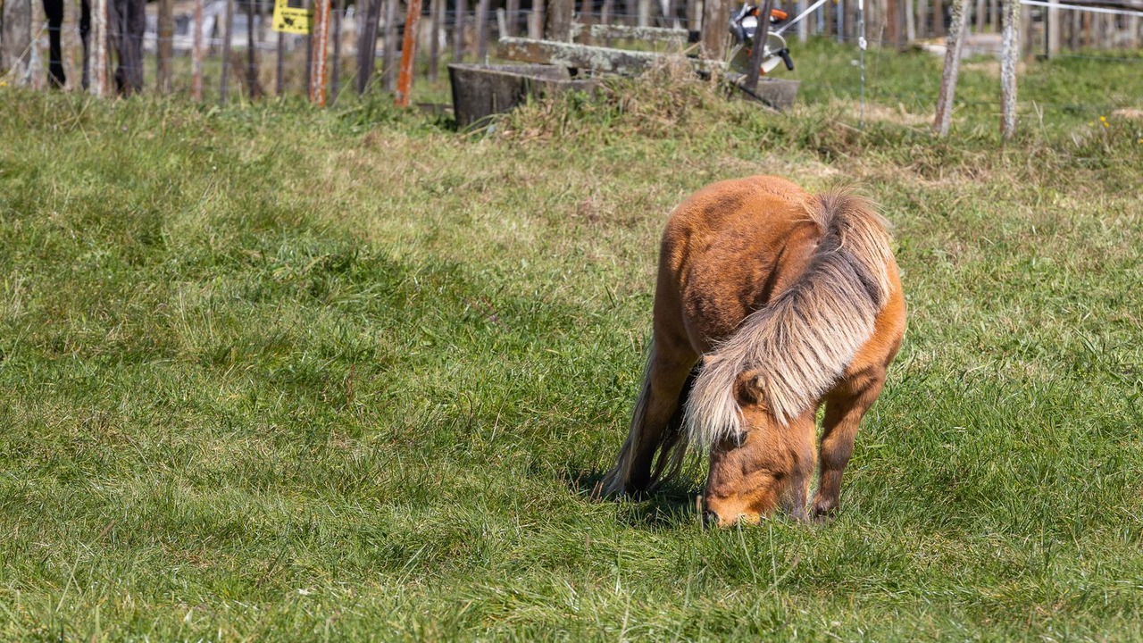 Photo of Others in Hamurana