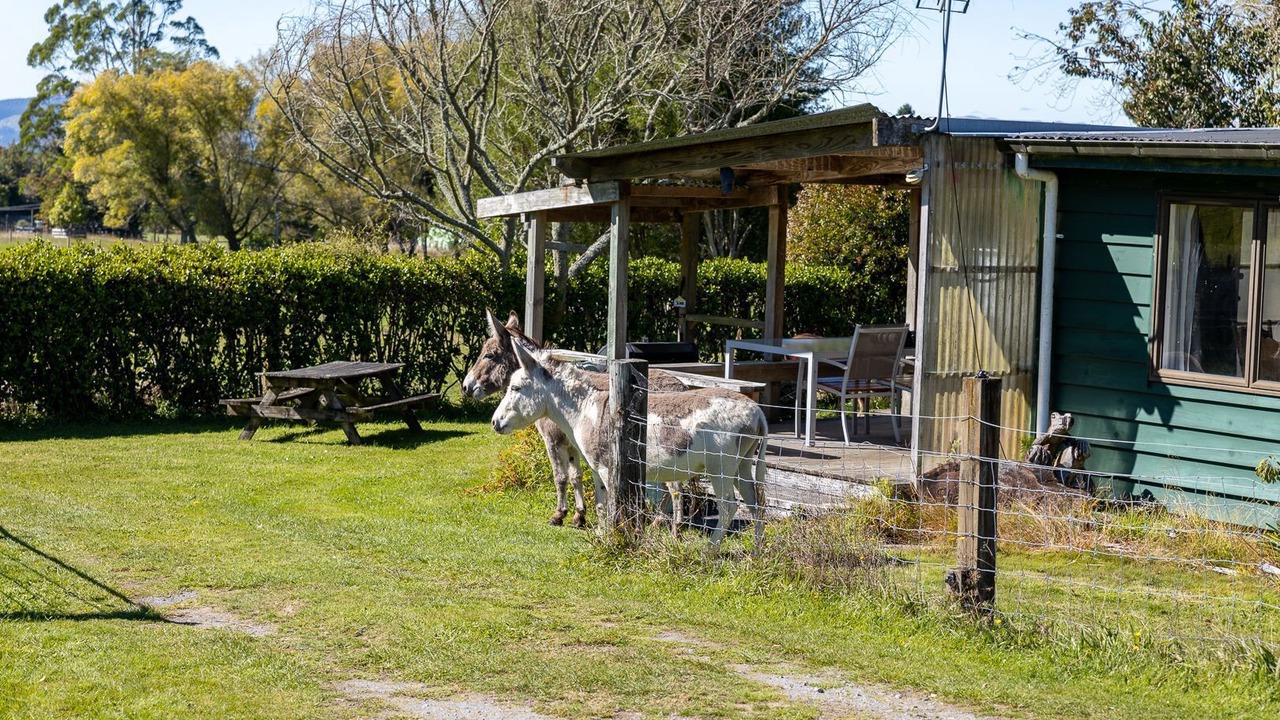 Photo of Outdoor in Hamurana
