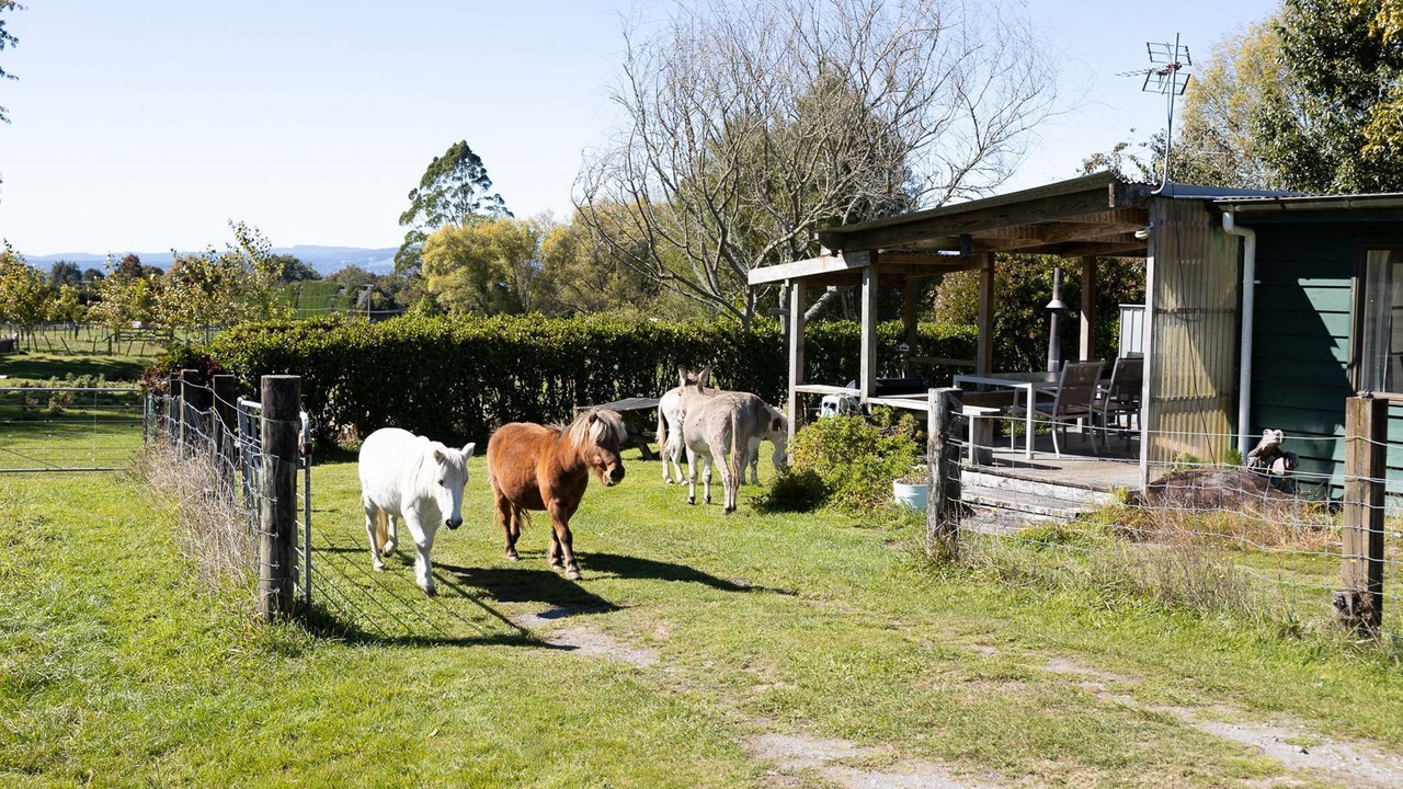 Photo of Others in Hamurana