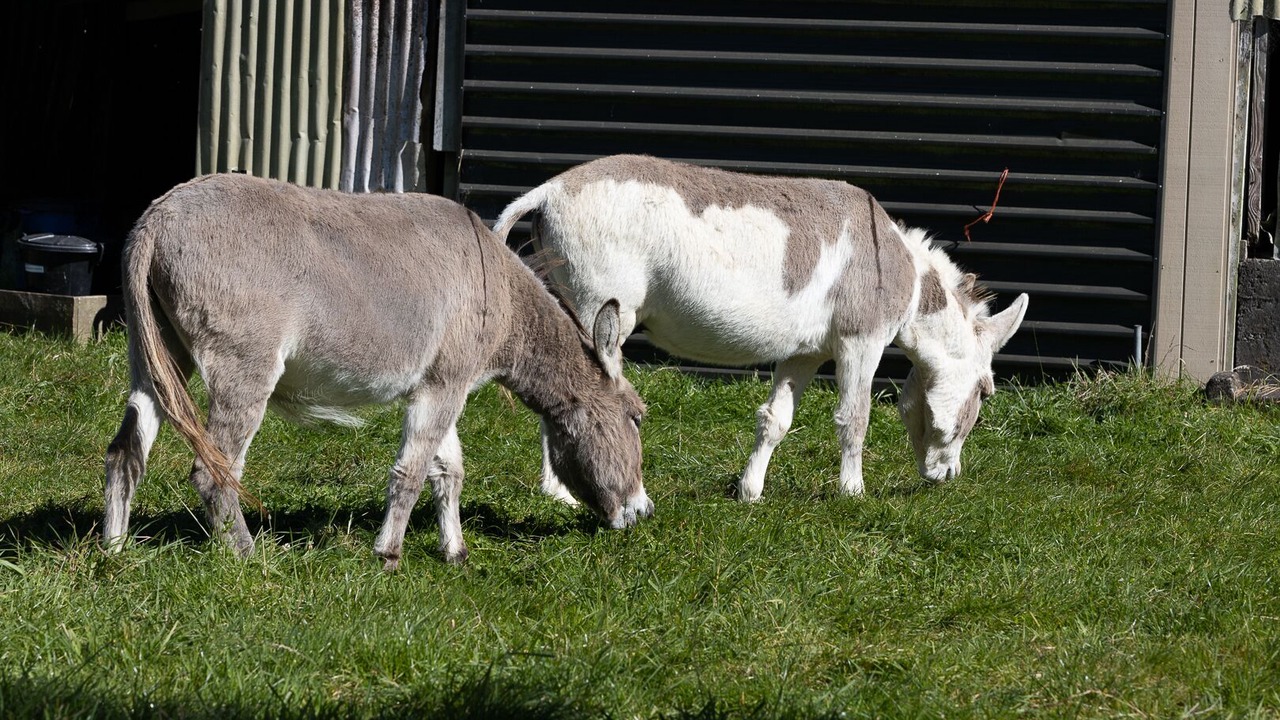 Photo of Others in Hamurana