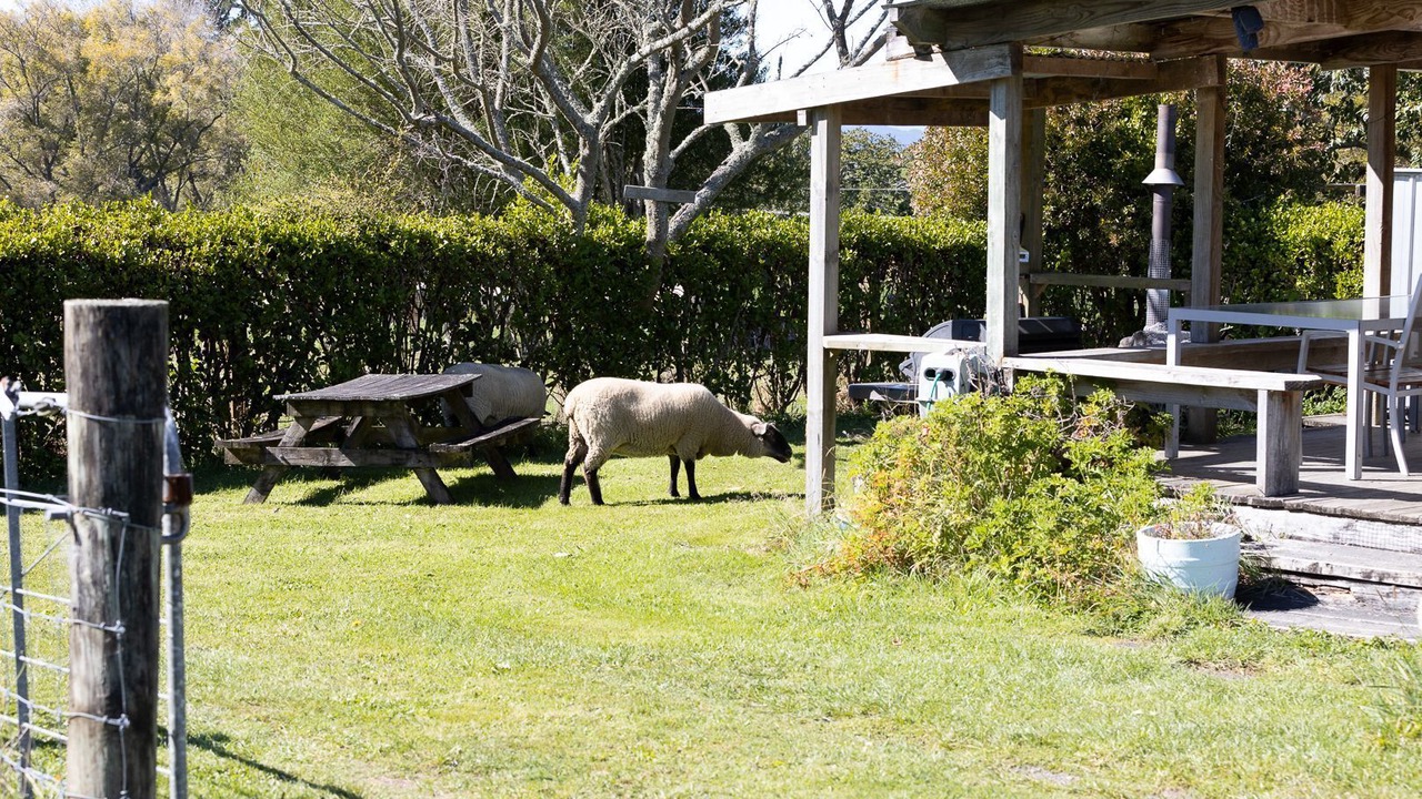 Photo of Others in Hamurana