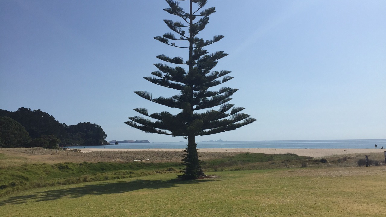 Photo of Others in Onemana