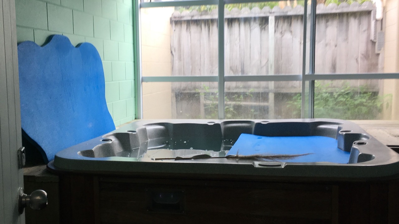 Photo of Others in Onemana