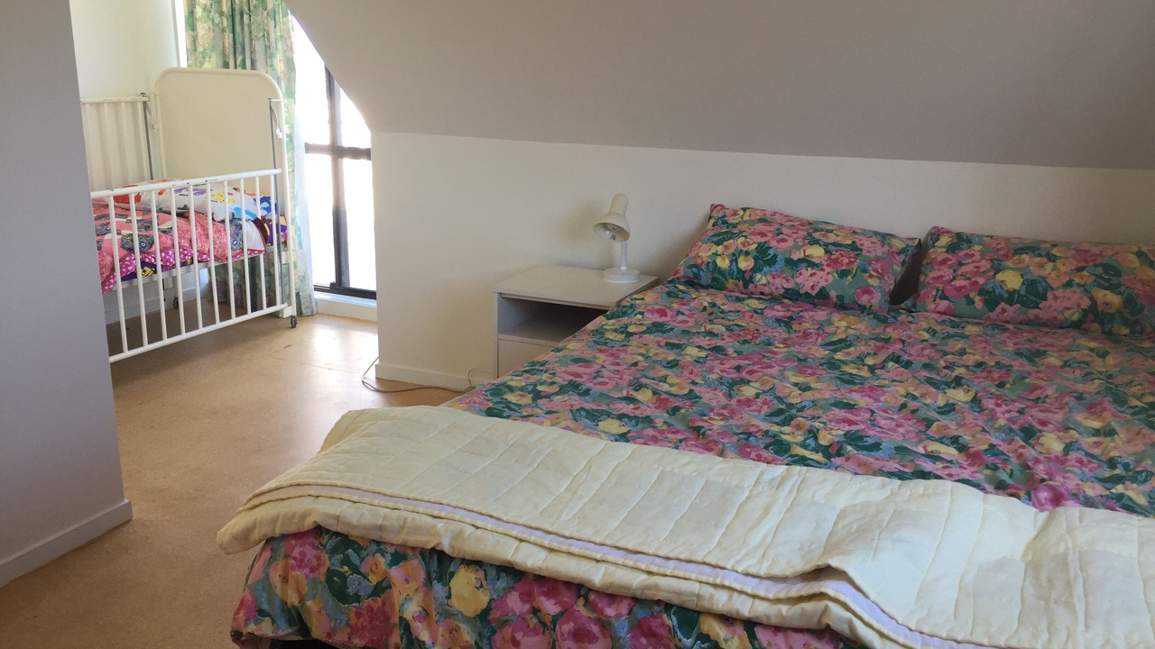 Photo of Others in Onemana