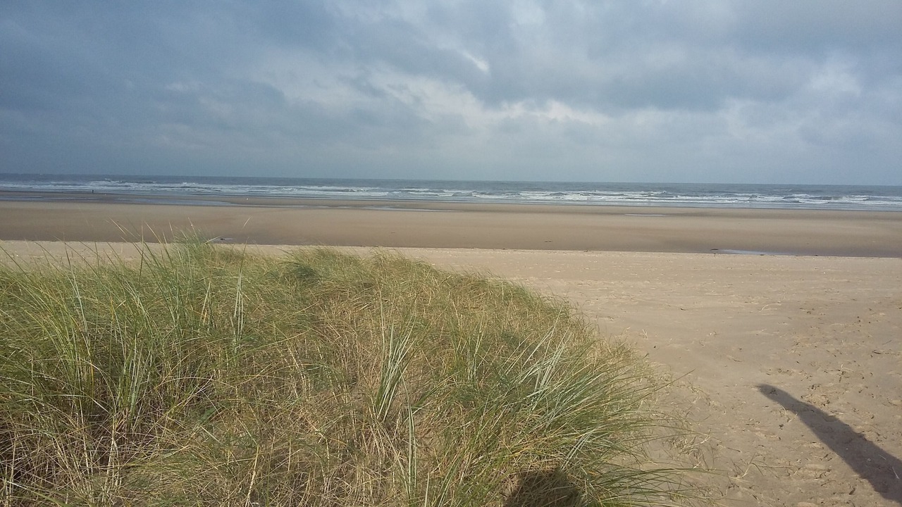 Photo of Others in Oye-Plage