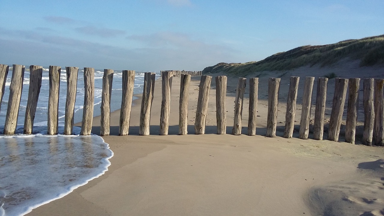 Photo of Others in Oye-Plage