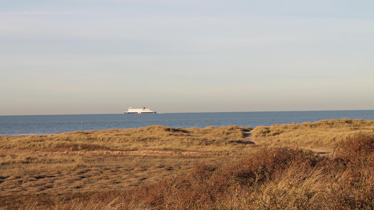 Photo of Others in Oye-Plage