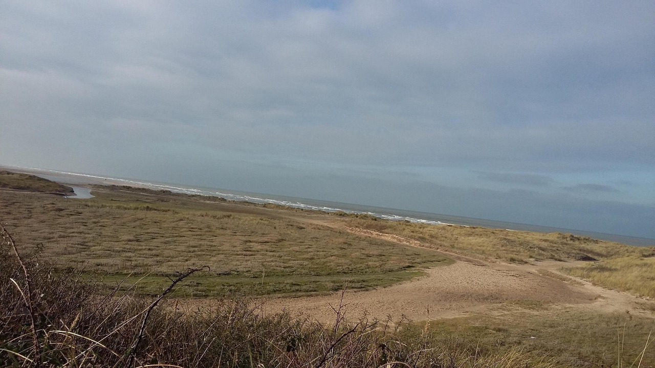 Photo of Others in Oye-Plage