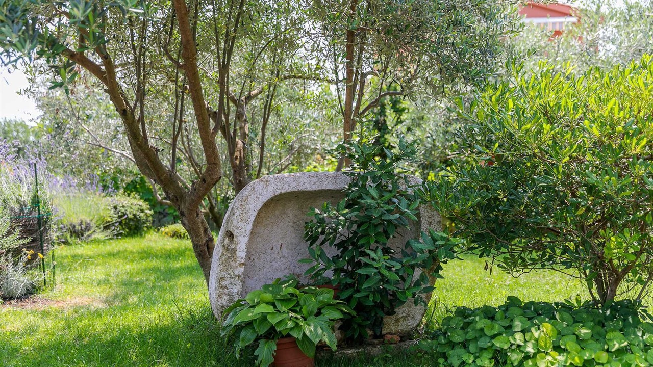 Photo of Outdoor in Brzac