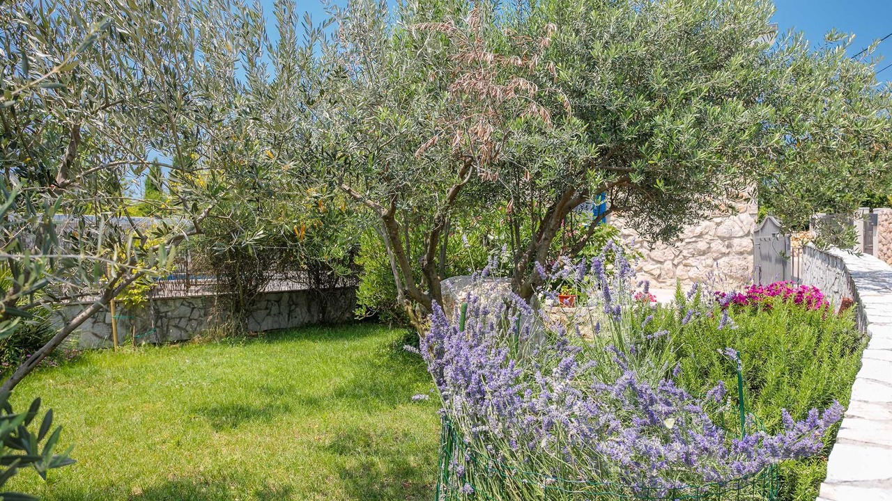 Photo of Outdoor in Brzac