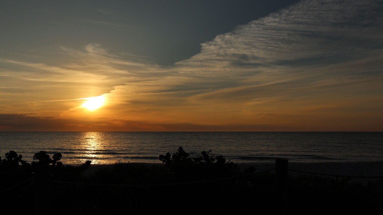 Photo of Others in South Bradenton