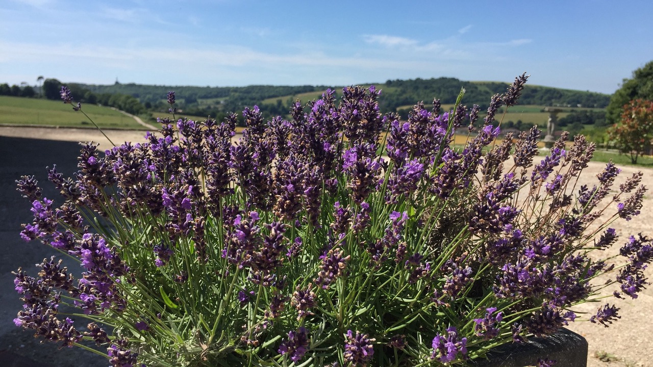 Photo of Outdoor in Findon