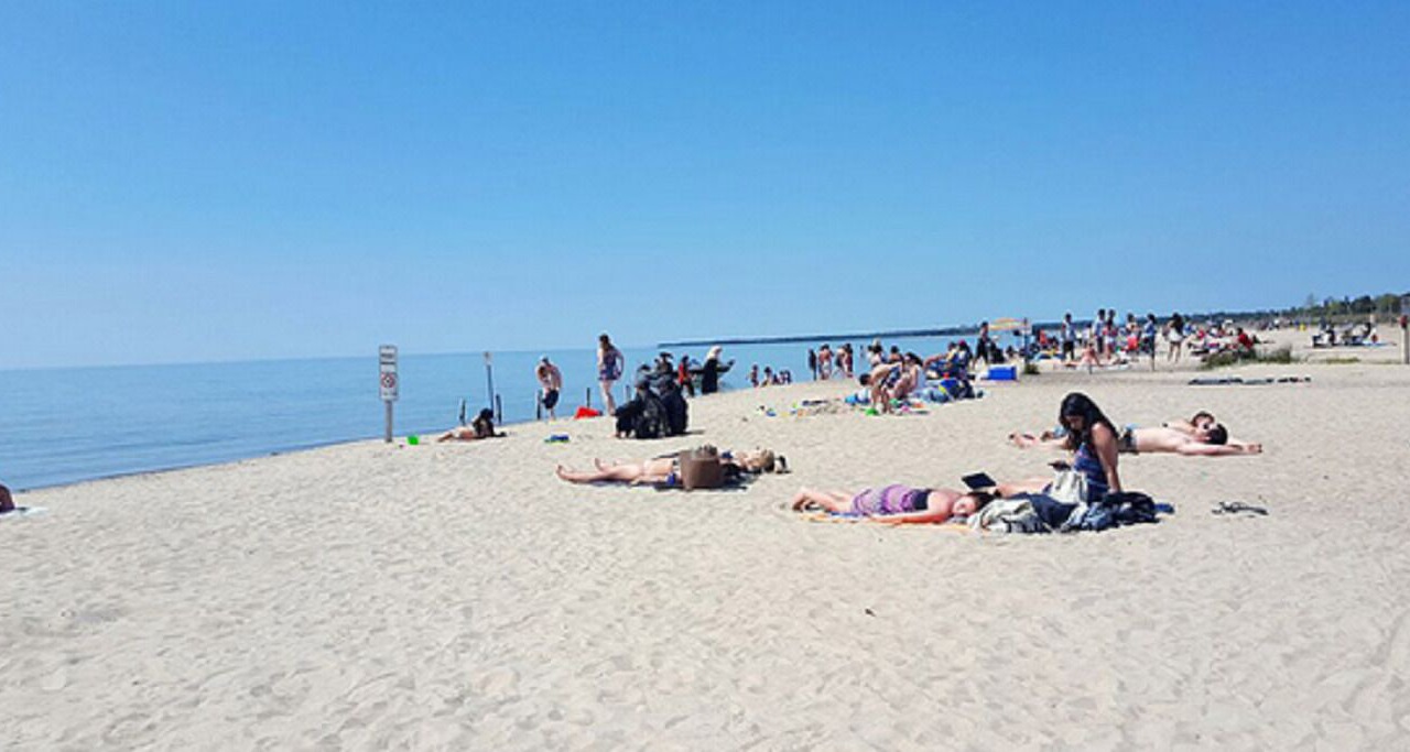 Photo of Others in Colpoys Bay