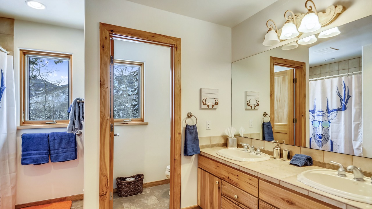 Photo of Bathroom in Columbine Lake