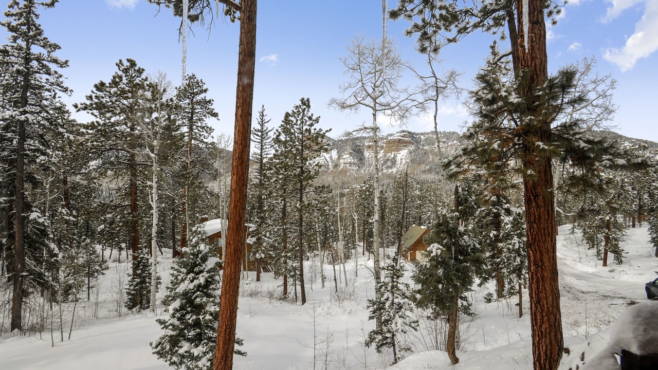 Photo of Others in Columbine Lake