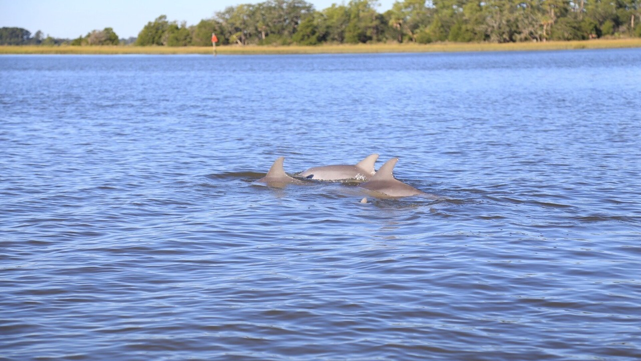 Photo of Others in Beaufort
