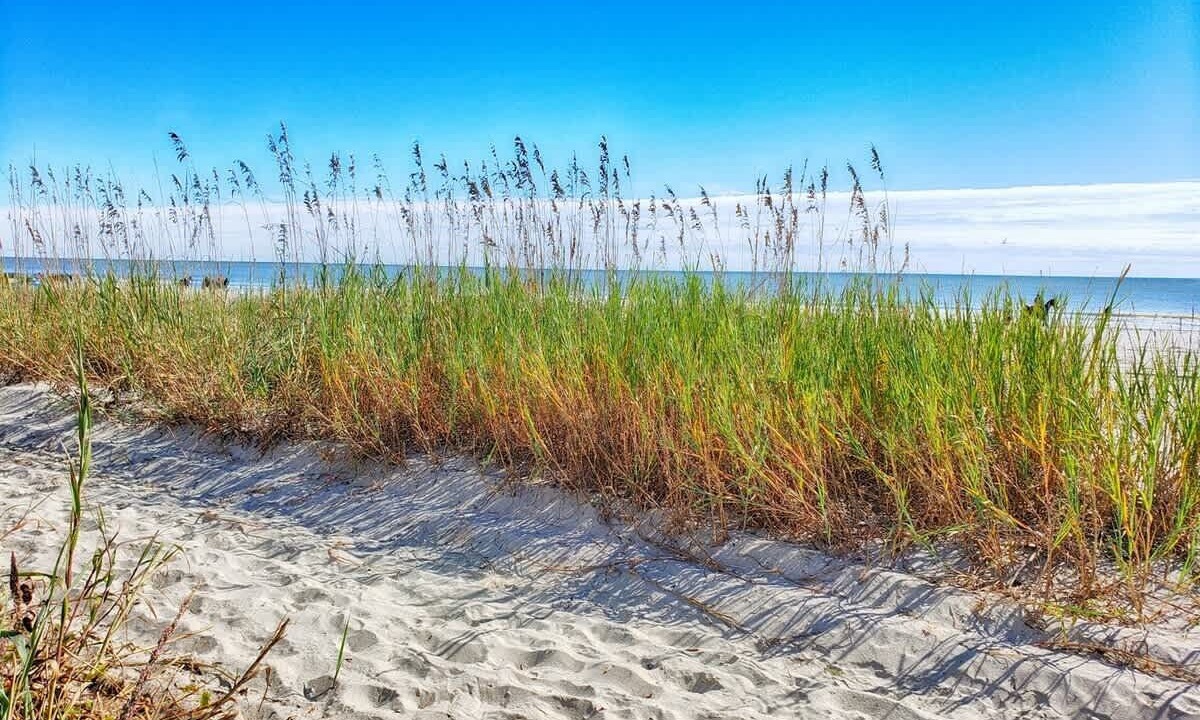 Photo of Others in Myrtle Beach