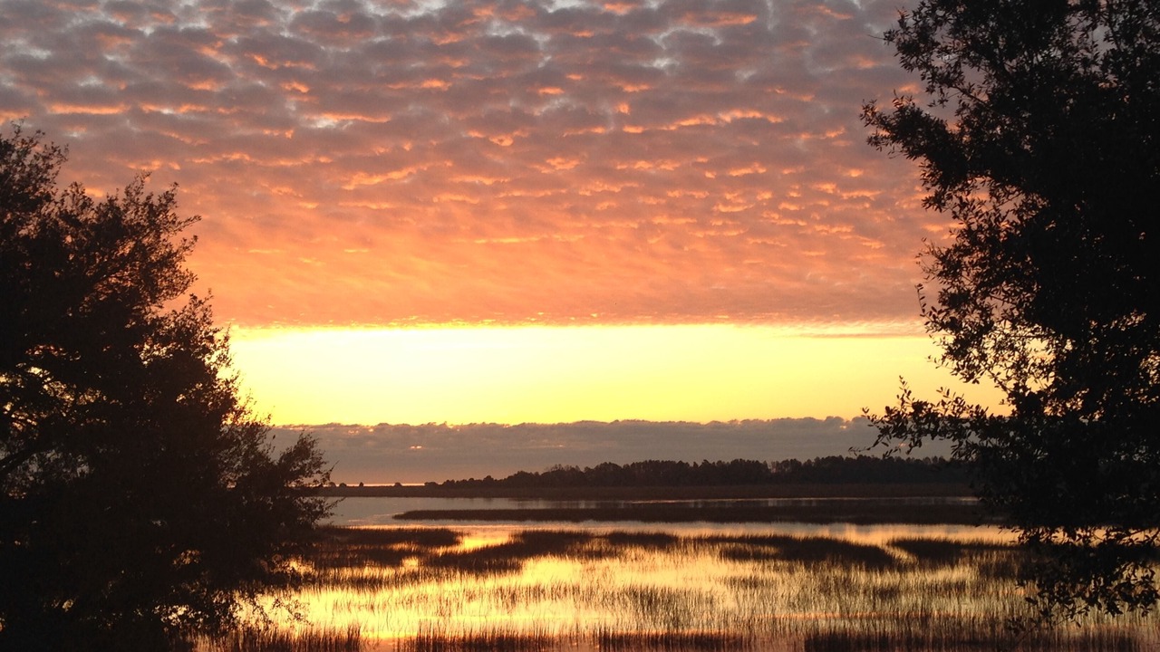Photo of Others in Murrells Inlet