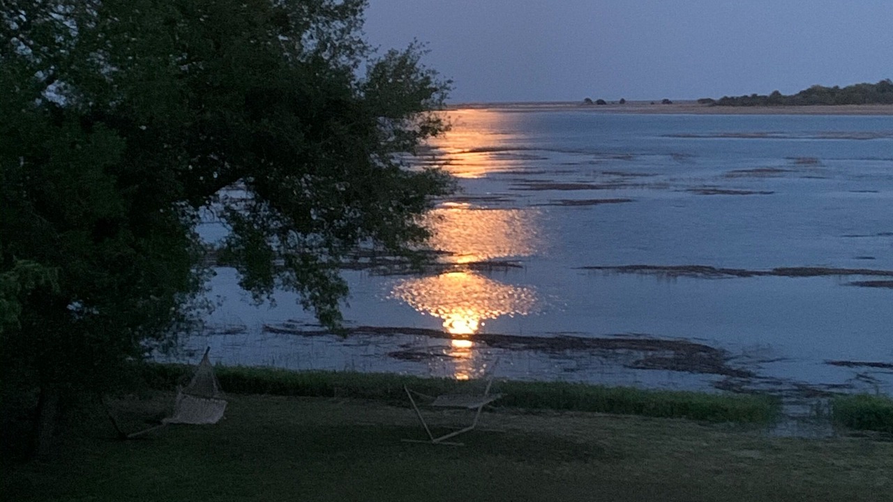 Photo of Others in Murrells Inlet