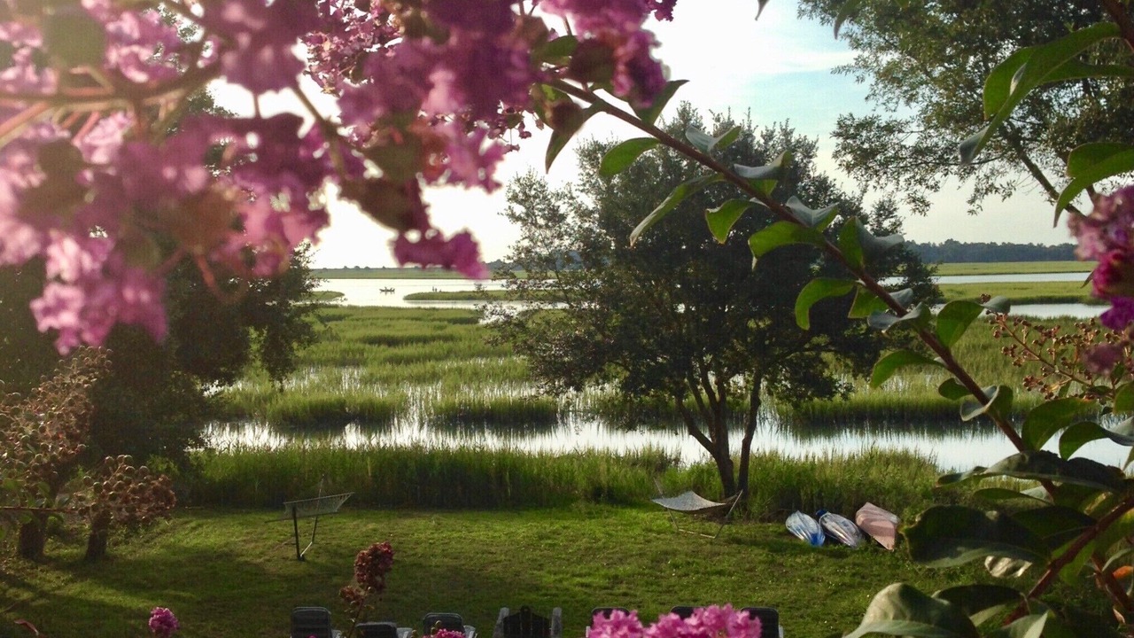 Photo of Others in Murrells Inlet