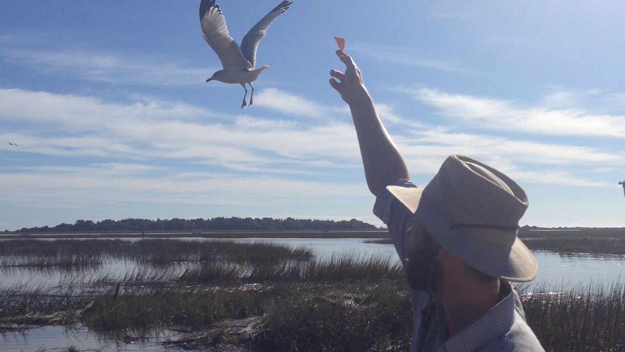 Photo of Others in Murrells Inlet