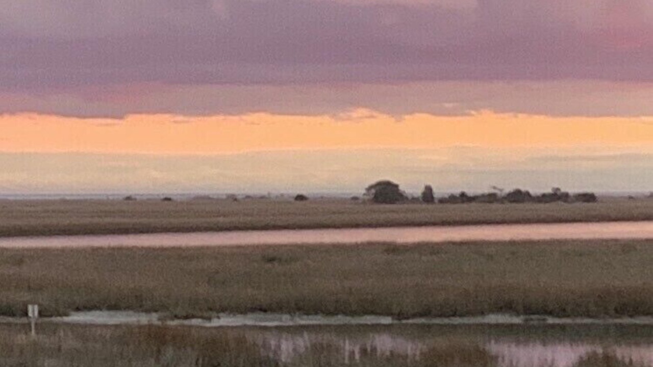 Photo of Others in Murrells Inlet