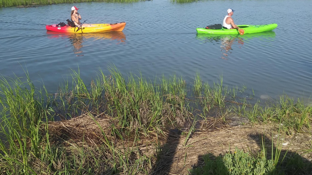 Photo of Others in Murrells Inlet