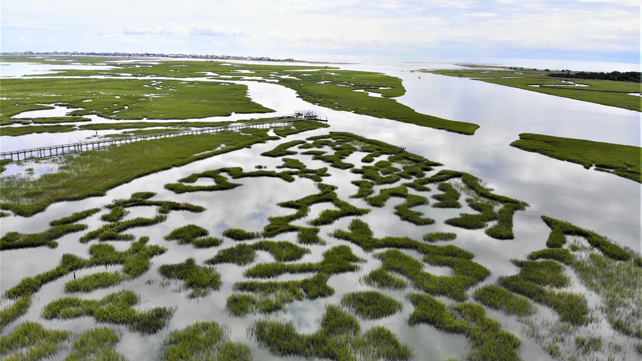 Photo of Others in Murrells Inlet