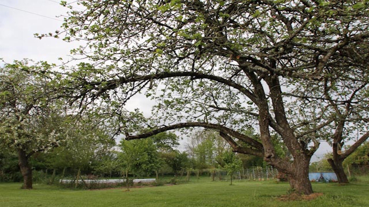 Photo of Outdoor in La Marne