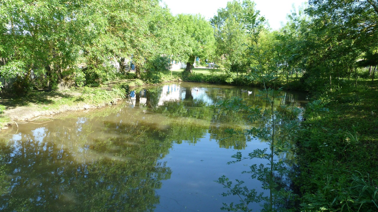 Photo of Outdoor in La Marne