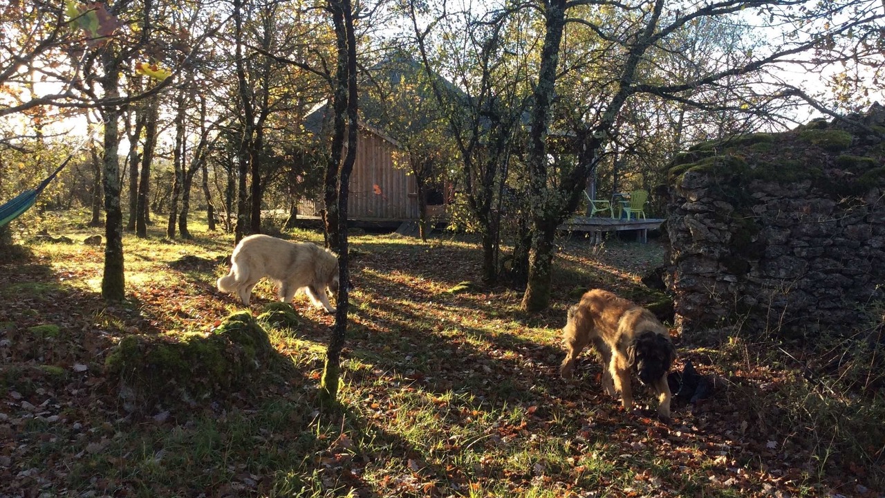 Photo of Outdoor in Penne
