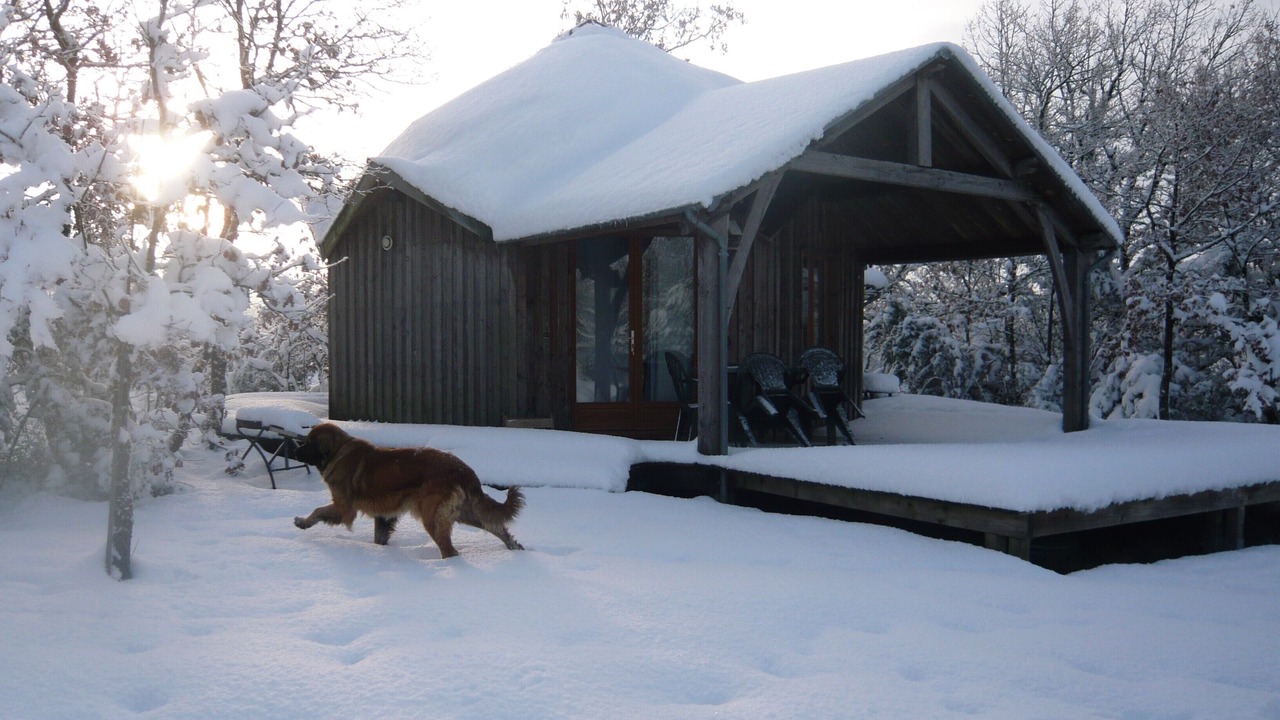 Photo of Outdoor in Penne