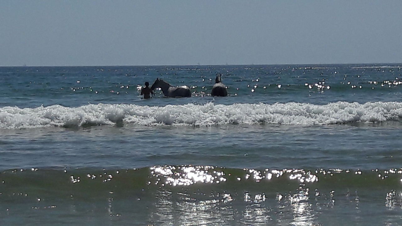 Photo of Bathroom in Plouhinec