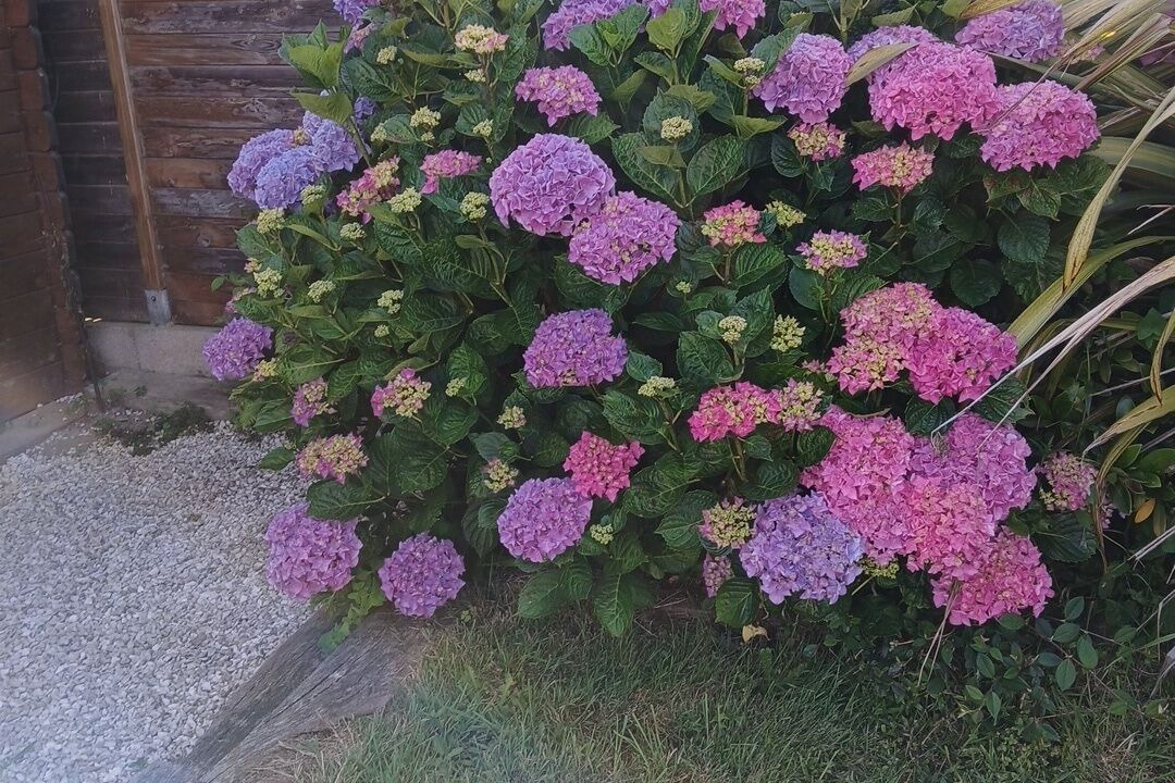 Photo of Outdoor in Plouhinec