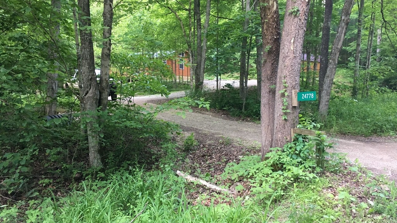 Photo of Outdoor in South Bloomingville