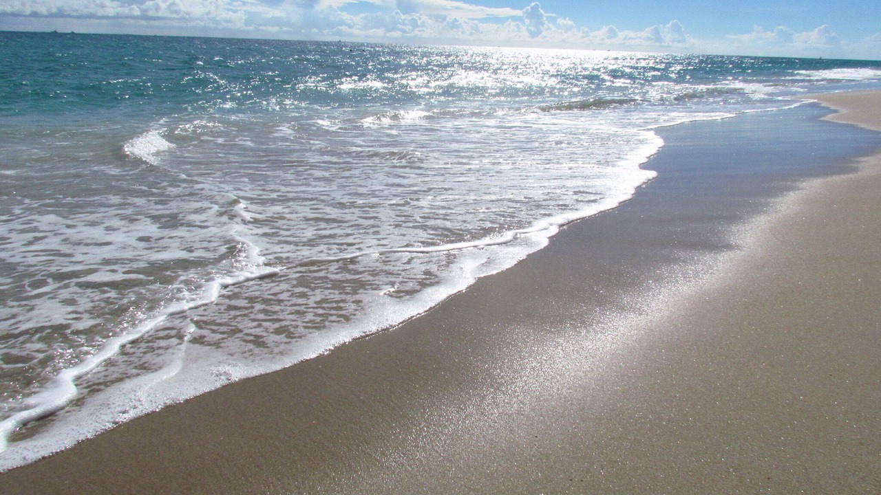 Photo of Others in Boynton Beach