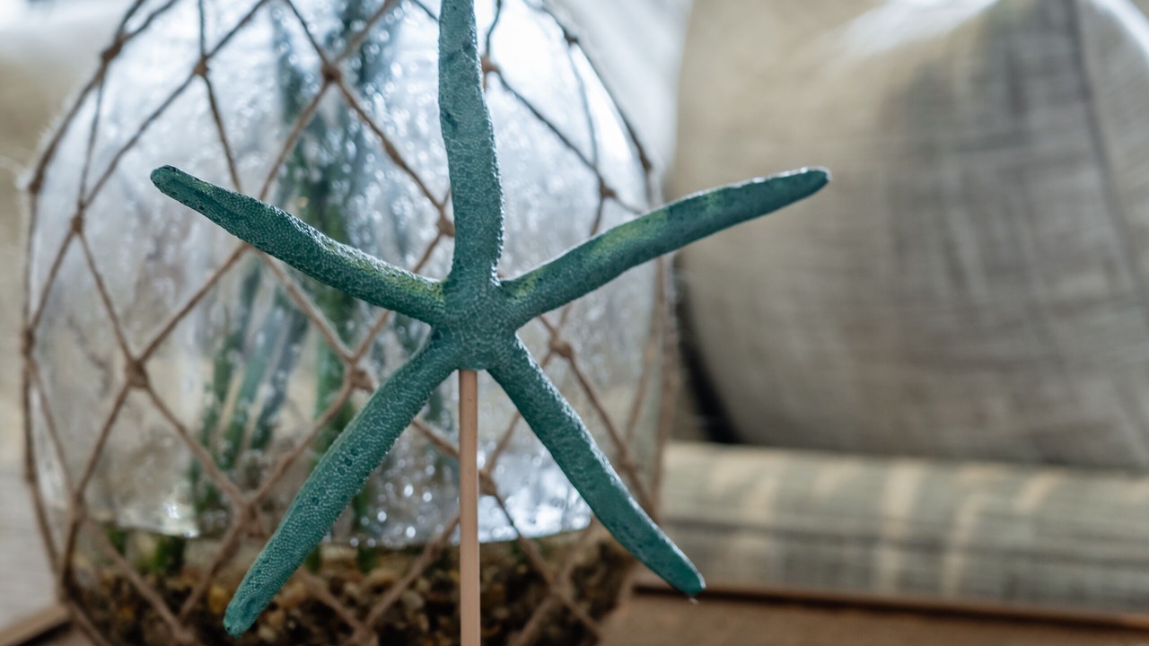 Photo of Others in Wailea