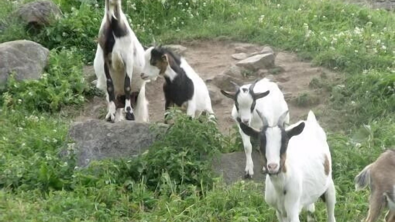 Photo of Outdoor in Aydat