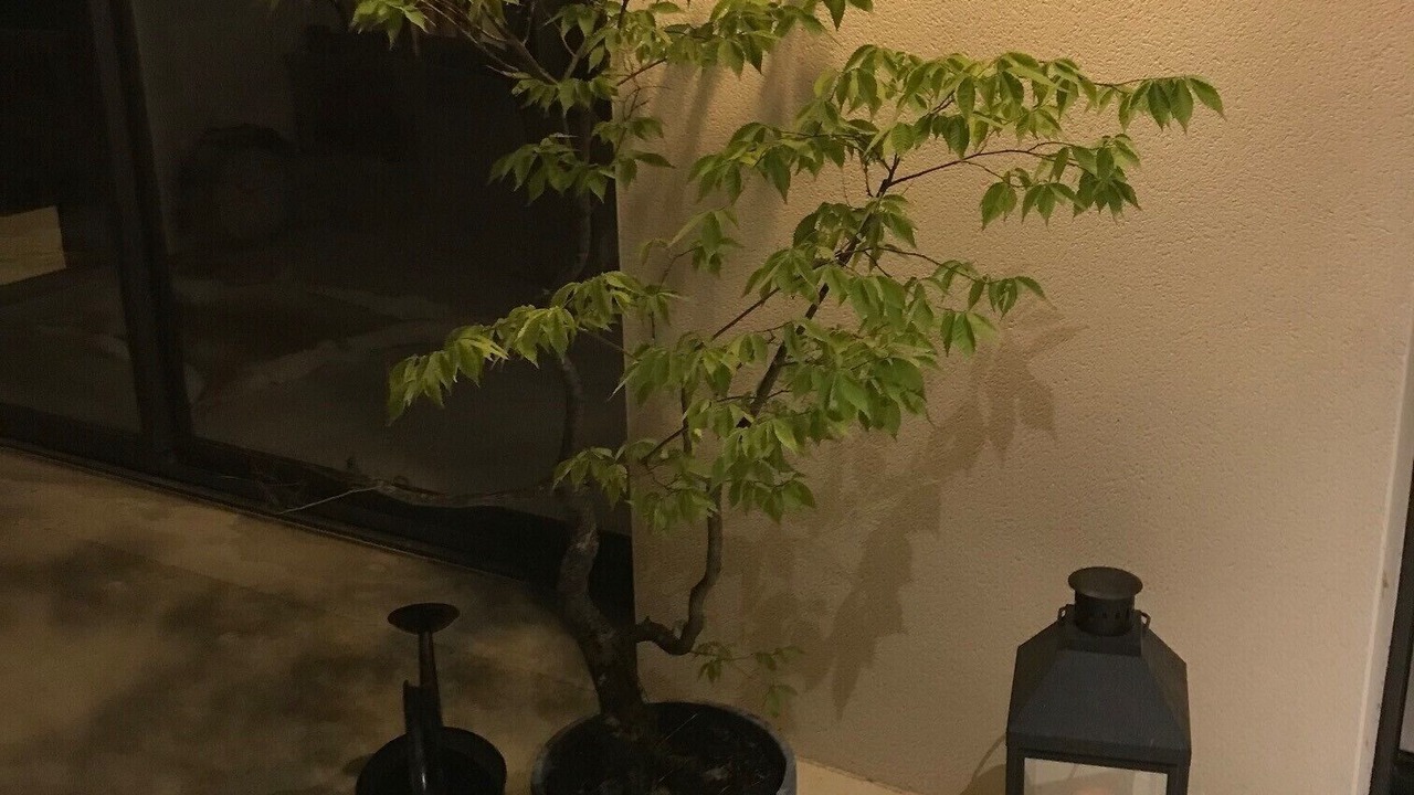 Photo of Others in Allevard