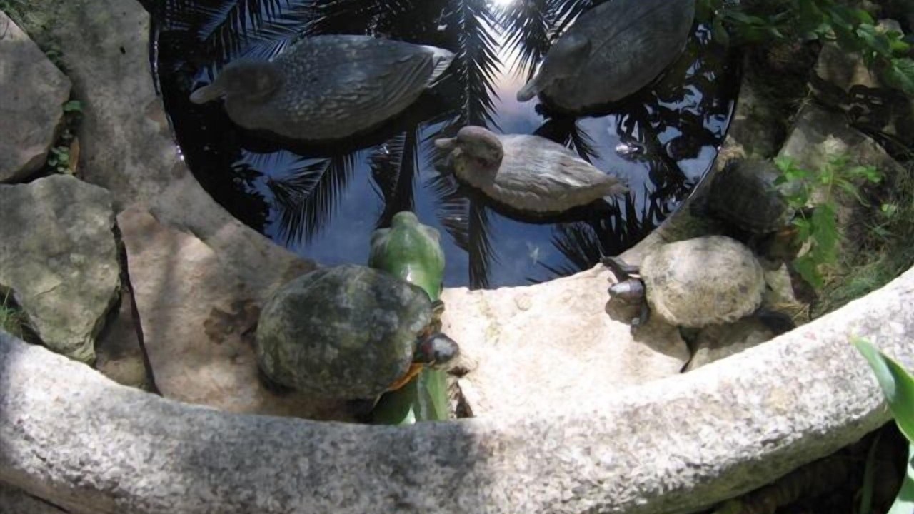 Photo of Outdoor in Clermont-l'Herault